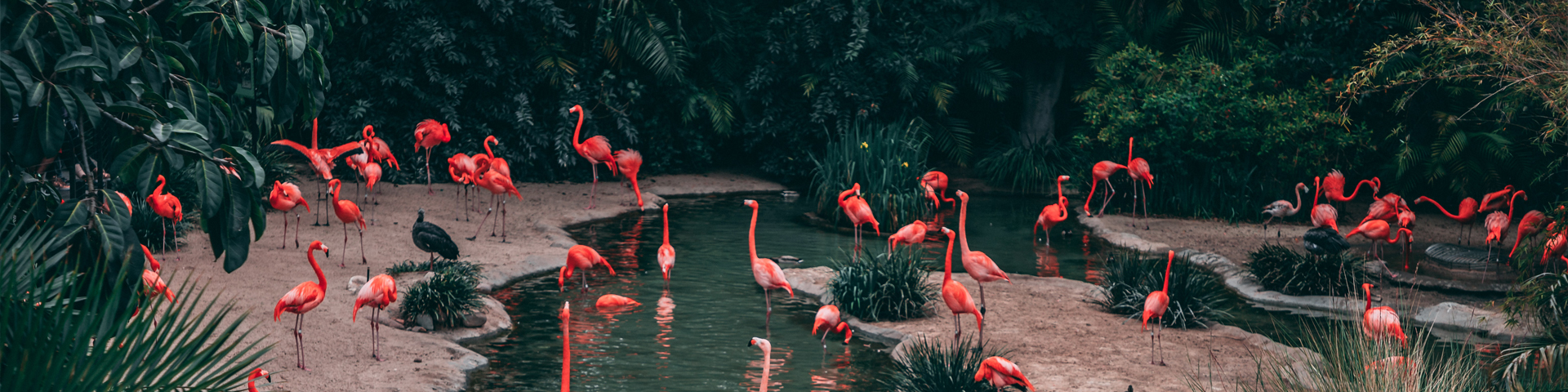 湖南君诚国际旅行社有限公司